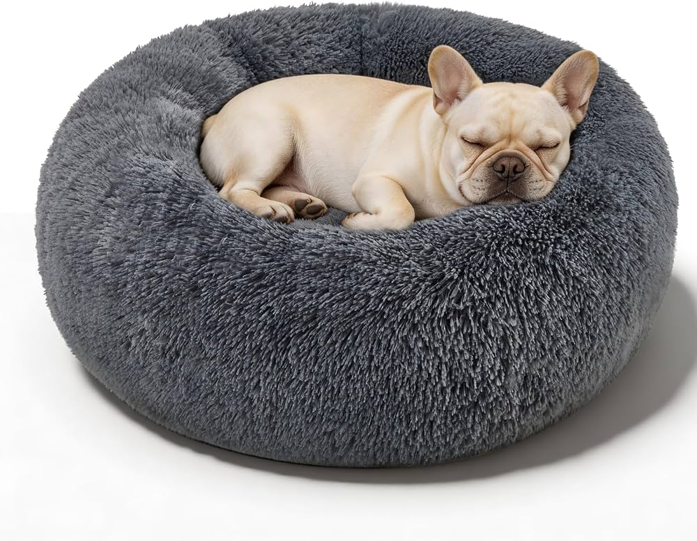 Calming Beds for Anxious Small Dogs